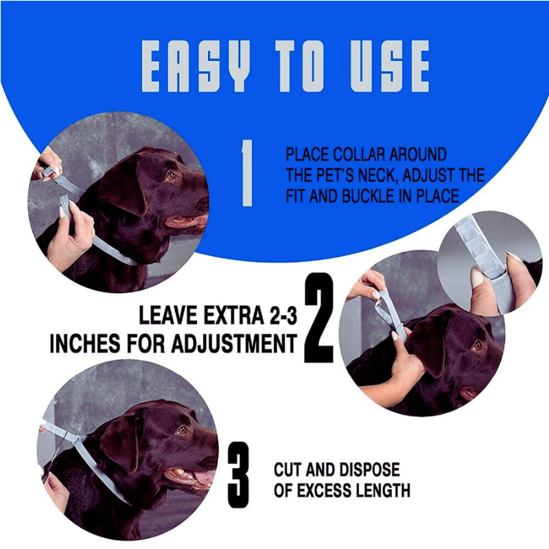 Flea & Tick Pet collar