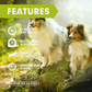 Lure Course Machine for Dogs- Agility Training