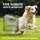 Lure Course Machine for Dogs- Agility Training