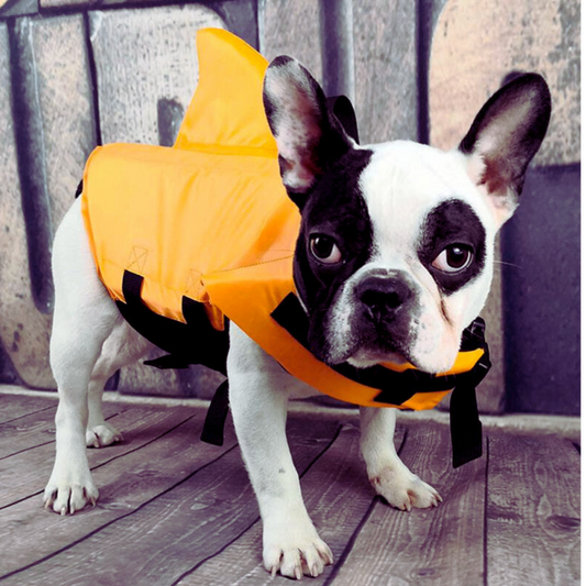 Dog Life Vest