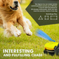Lure Course Machine for Dogs- Agility Training