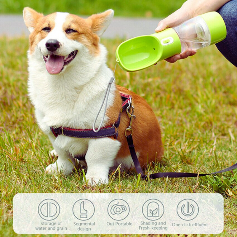 Dog Water and Food Bottle