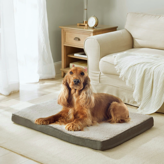 Orthopedic Memory Foam Dog Bed