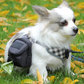 Treat & Waste Bag Dispenser