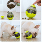 Pet Interactive Treat Balls