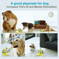 Pet Interactive Treat Balls