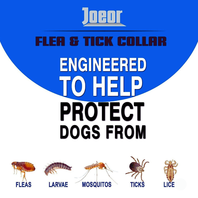 Flea & Tick Pet collar