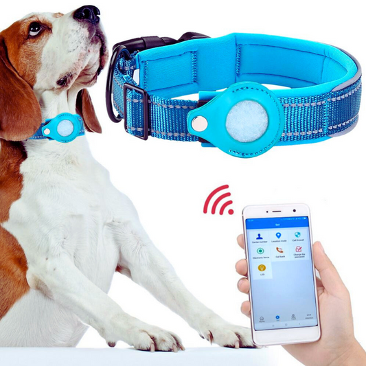 Pet Tracking Collar For Apple Airtag