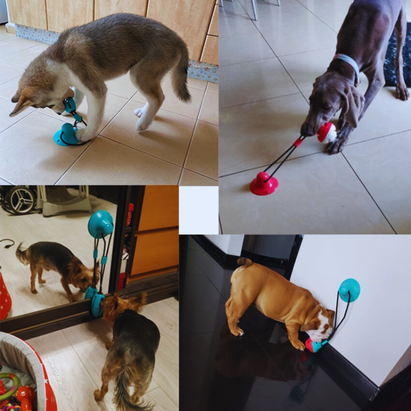 Dog Silicon Suction Cup Toy