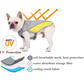 Summer Dog Cooling Vest