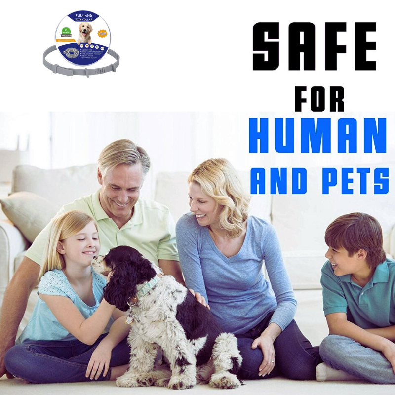 Flea & Tick Pet collar