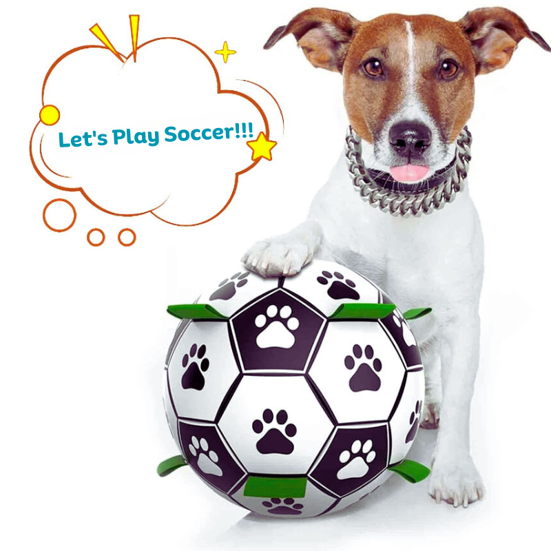 Dog Soccer Ball