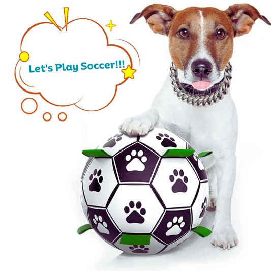 Dog Soccer Ball