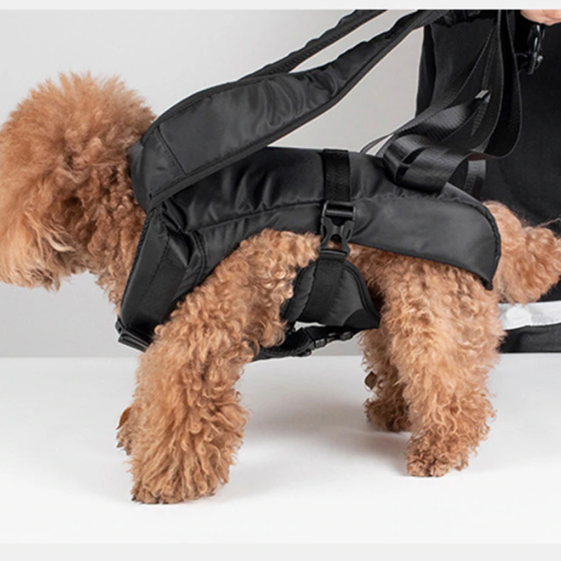 Dog Carrier Backpack