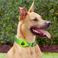 Pet Tracking Collar For Apple Airtag