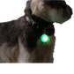 LED Pet Tag