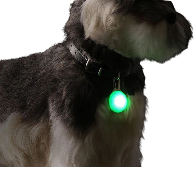 LED Pet Tag