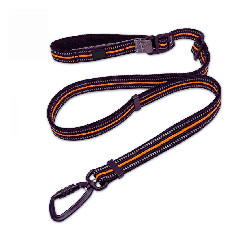 Secure Stride Leash