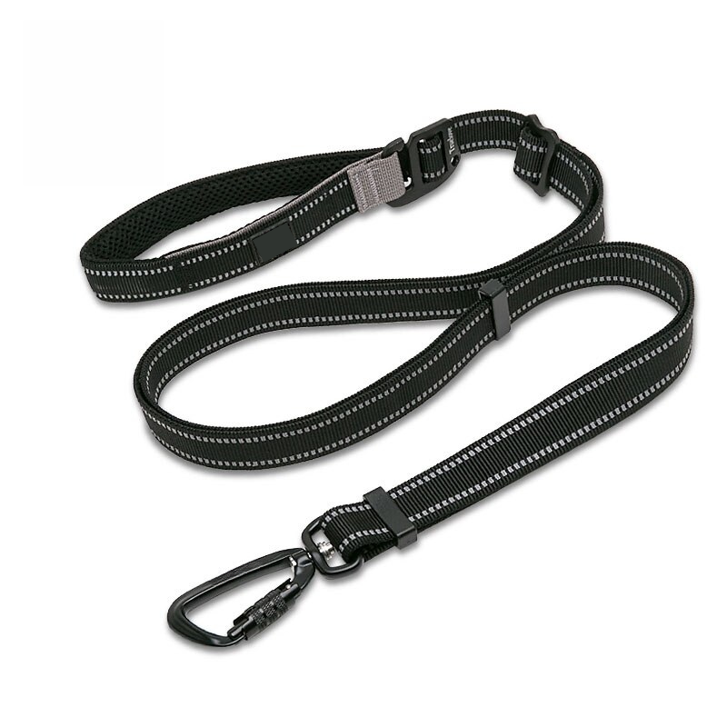 Secure Stride Leash