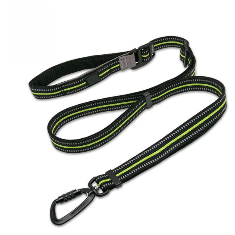 Secure Stride Leash