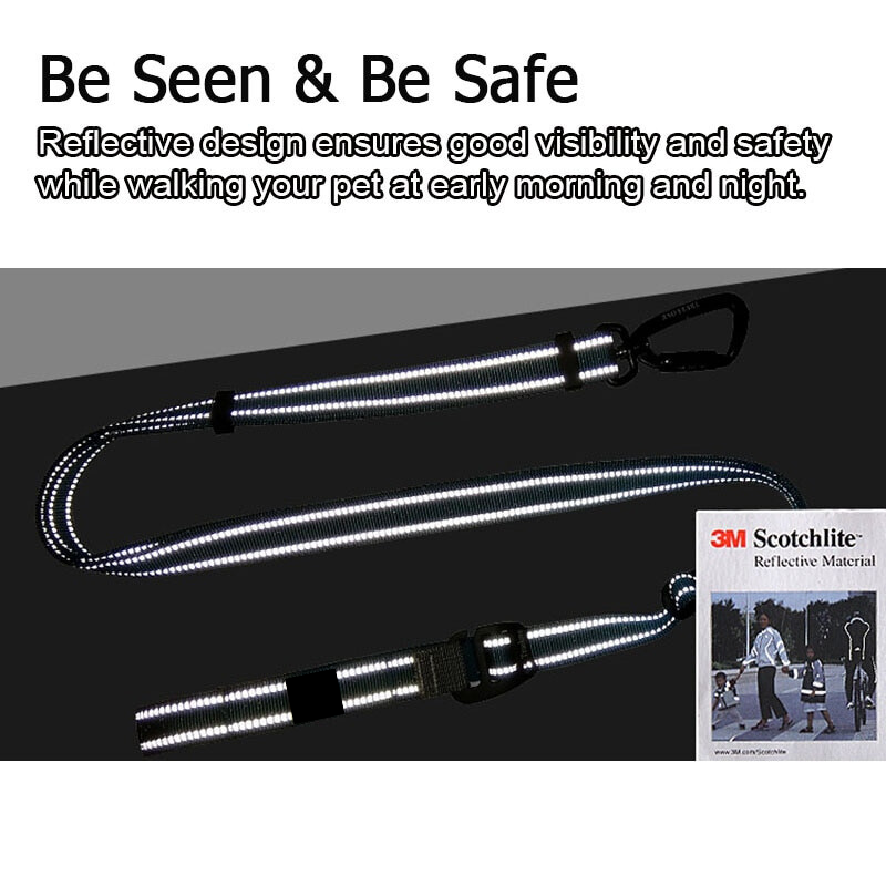 Secure Stride Leash