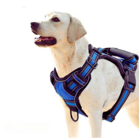 No Pull Reflective Harness