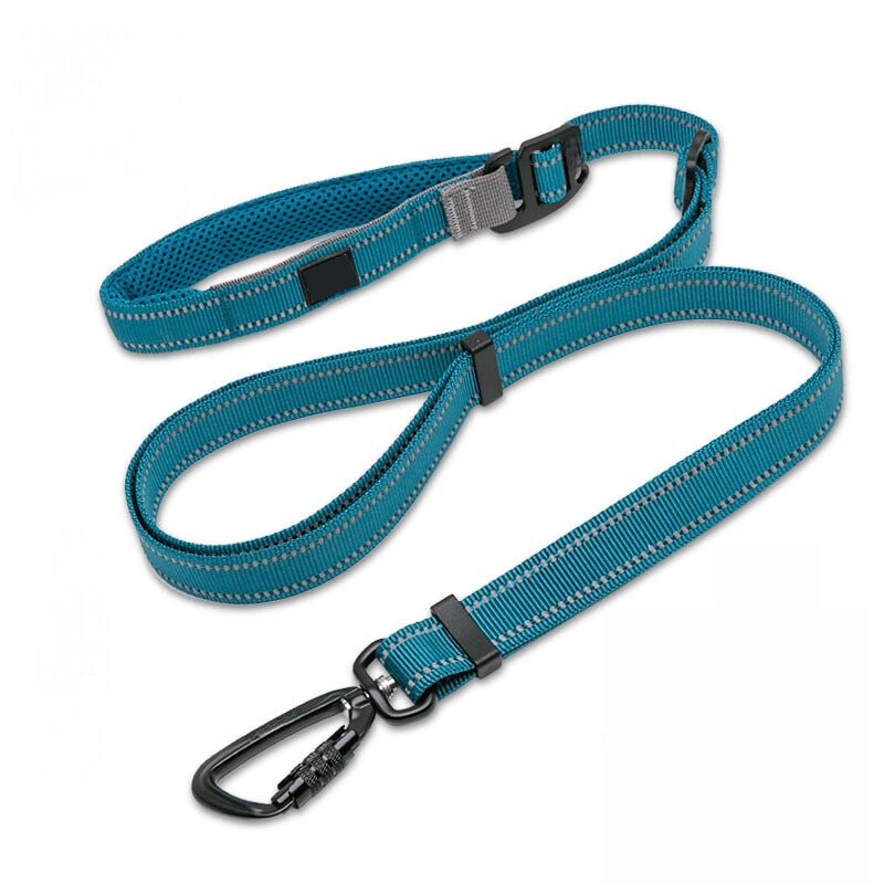 Secure Stride Leash