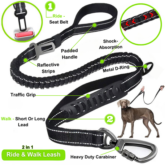 Ride & Walk Leash