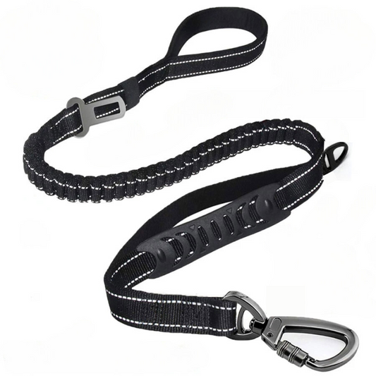 Ride & Walk Leash