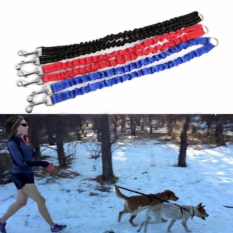 Flexi-Shock Dual Leash Extension