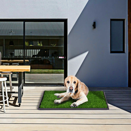 Puppy Potty Turf Pad