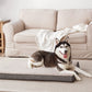 Orthopedic Memory Foam Dog Bed