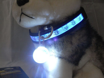 LED Pet Tag