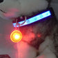 LED Pet Tag