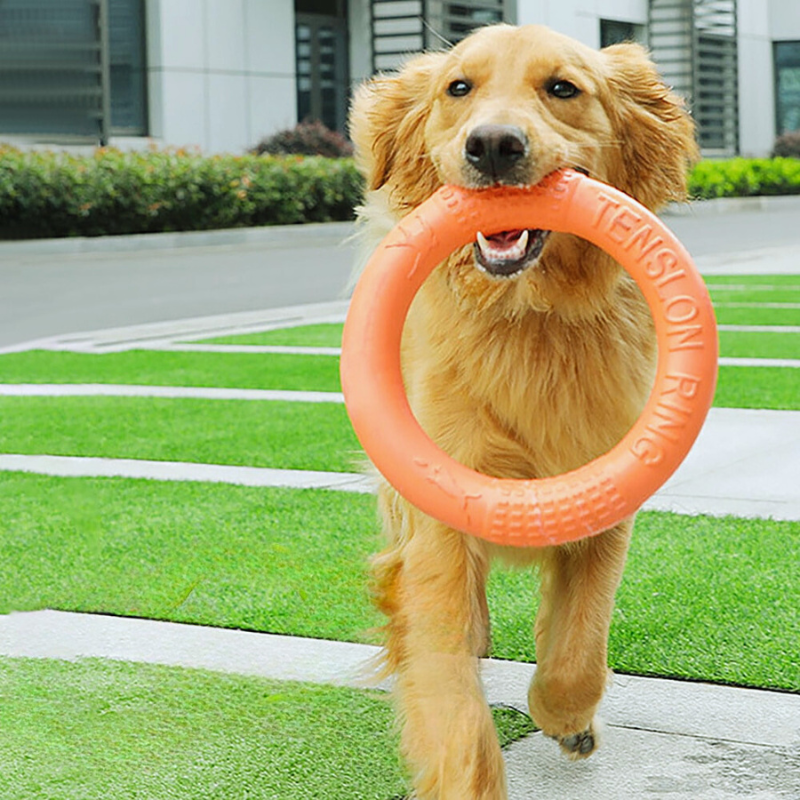 Dog Bite Resistant Floating Toy