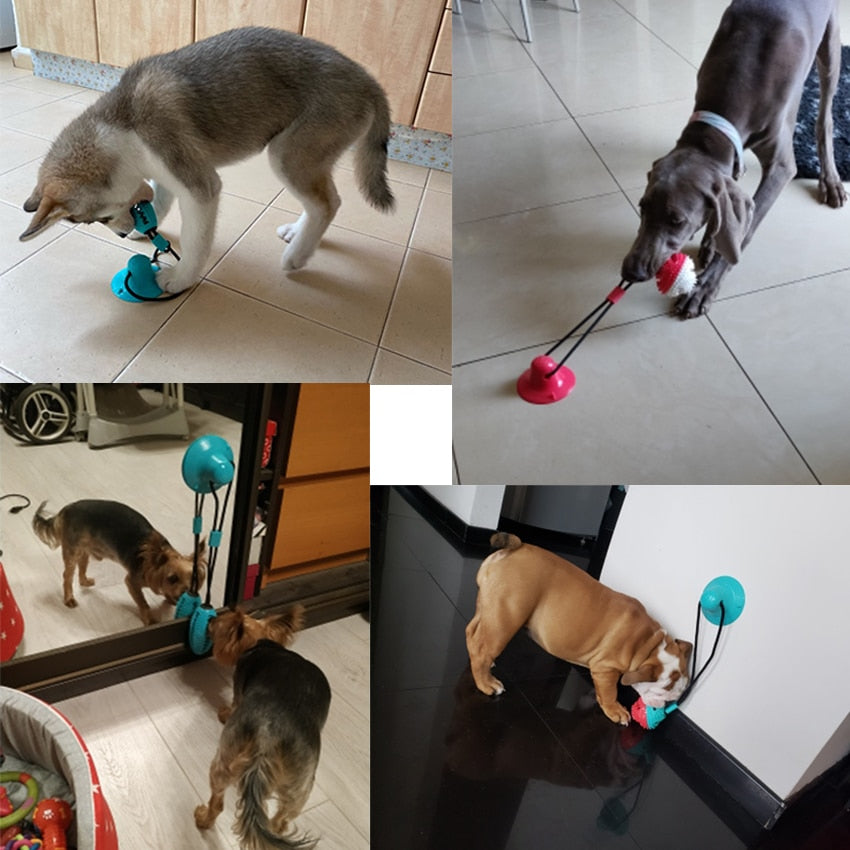 Dog Silicon Suction Cup Toy