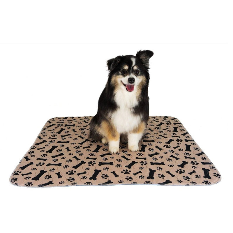 Pet Fast Absorbing Pee Pad