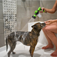 Pet Jet Hose Foam Sprayer